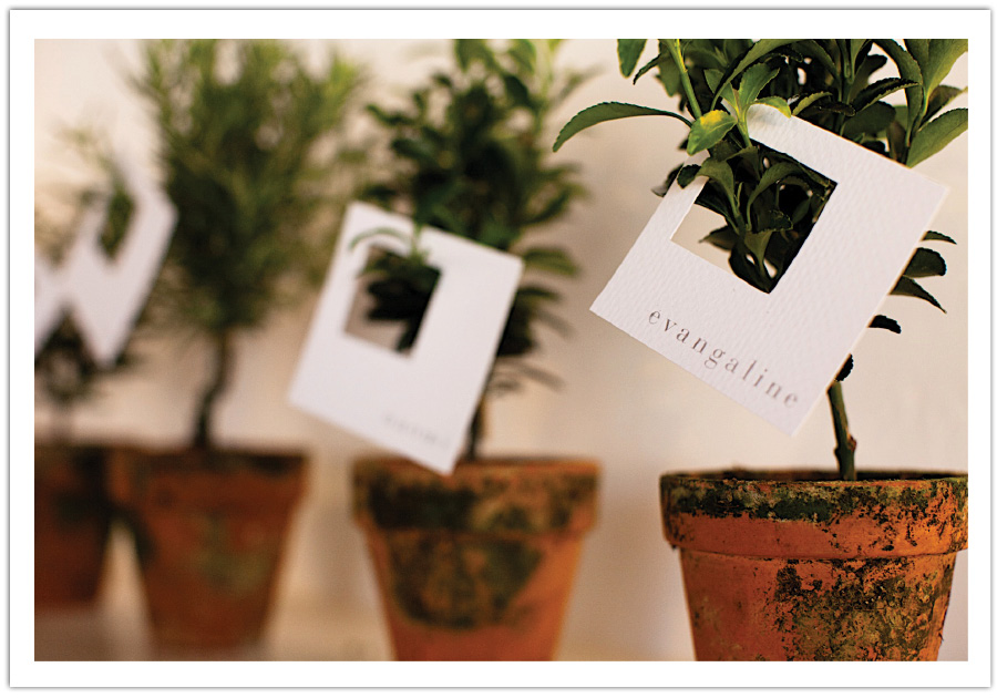 rustic Herb seating cards 
