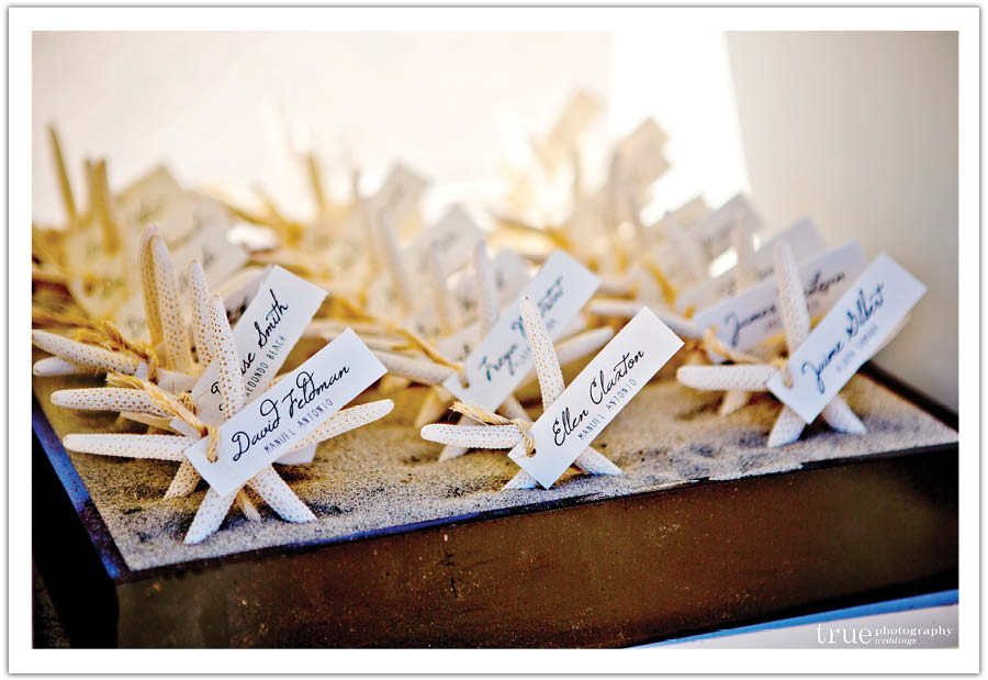 California Beach Wedding by Alchemy Fine Events | www.alchemyfineevents.com (20)