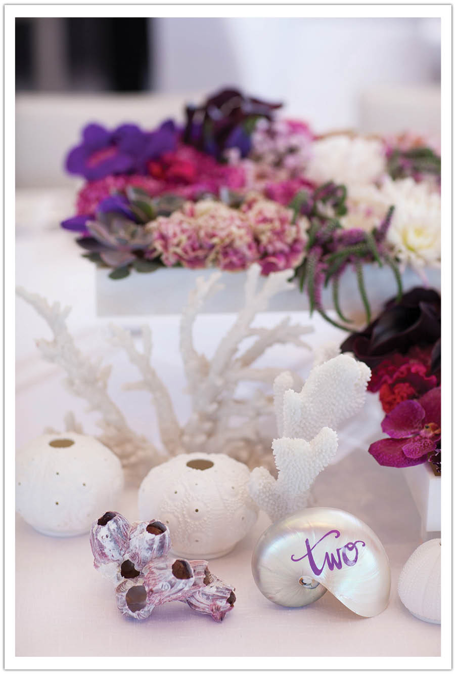 white coral reef flowers la jolla beach wedding