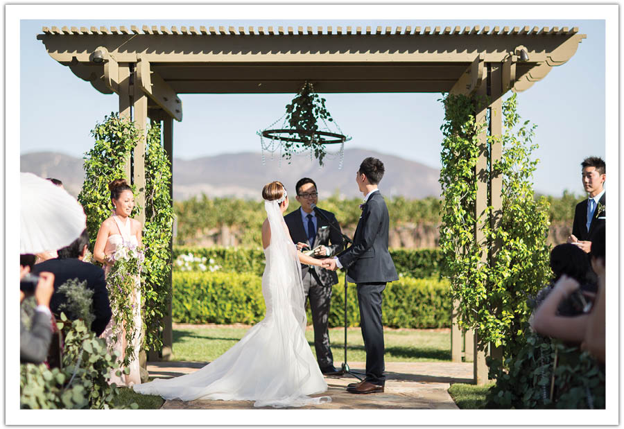 Ponte Winery Wedding Alchemy Fine Events (16)