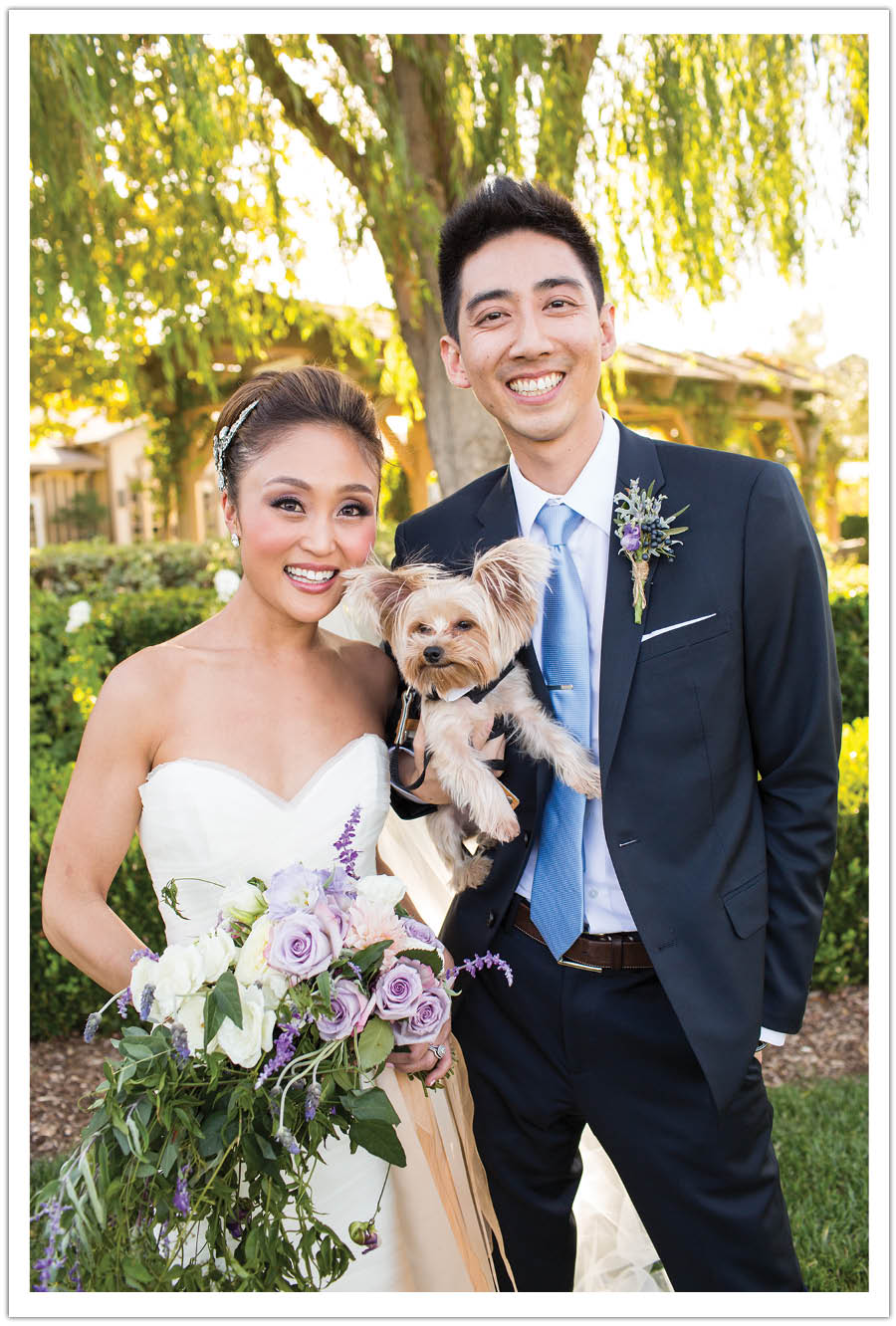dog wedding photo